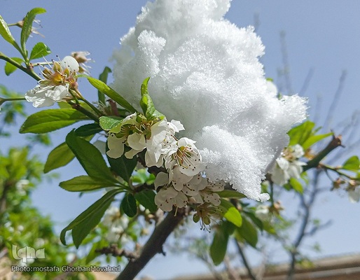 زمستان در بهار شهرستان اهر