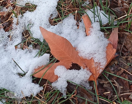 زمستان در بهار شهرستان اهر