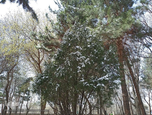 زمستان در بهار شهرستان اهر