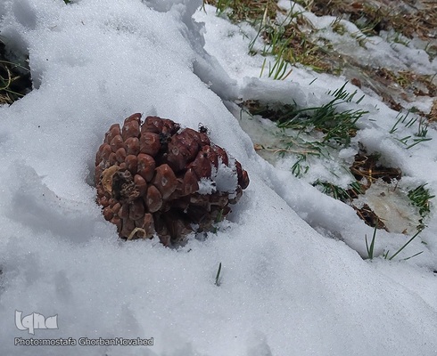زمستان در بهار شهرستان اهر