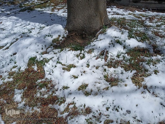 زمستان در بهار شهرستان اهر