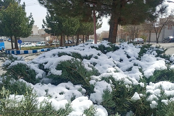 زمستان در بهار شهرستان اهر