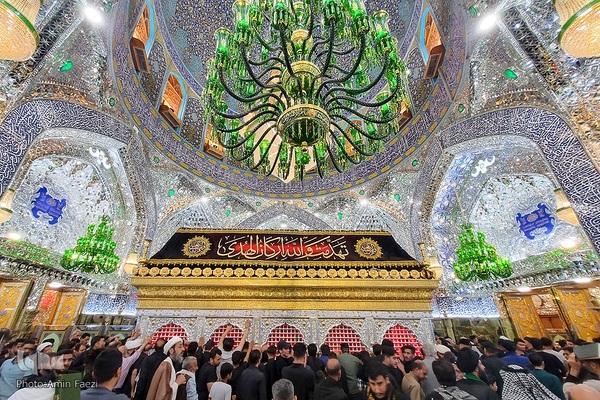 احیا در حرم امام علی‎‎