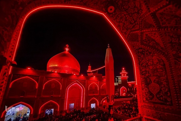 احیا در حرم امام علی‎‎