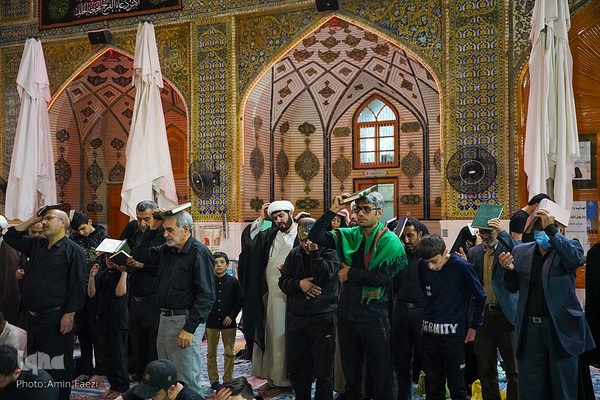 احیا در حرم امام علی‎‎