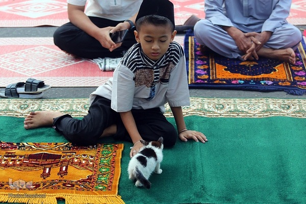نماز عید فطر در ملل مسلمان جهان