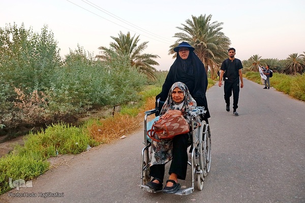 طریق العلما