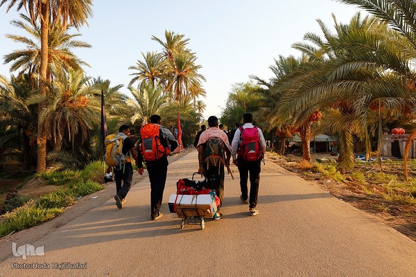 طریق العلما