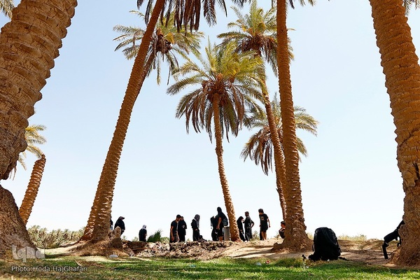 طریق العلما