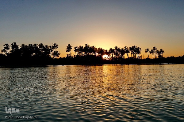 طریق العلما