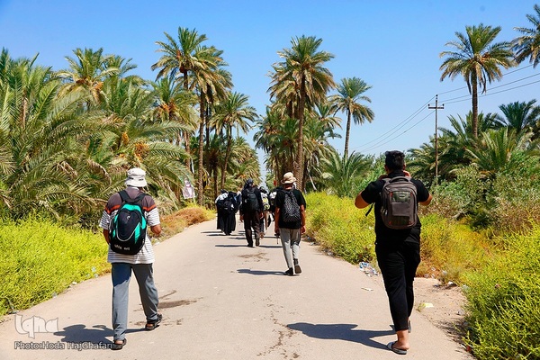 طریق العلما