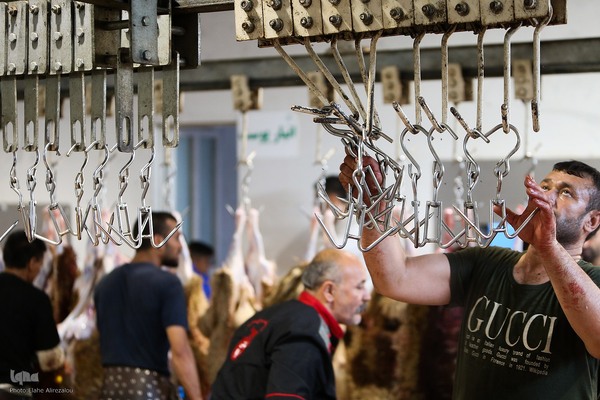 خرید و ذبح دام عید قربان در تهران