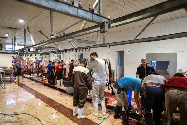 خرید و ذبح دام عید قربان در تهران