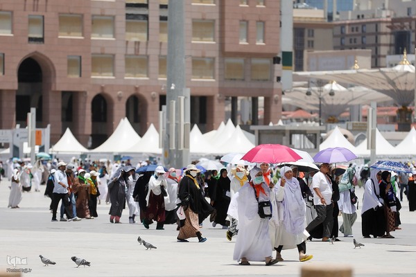 حال و هوای شهر پیامبر سال ۱۴۴۵ هجری قمری