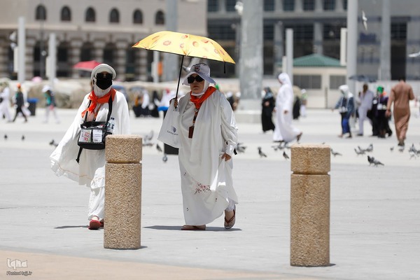 حال و هوای شهر پیامبر سال ۱۴۴۵ هجری قمری