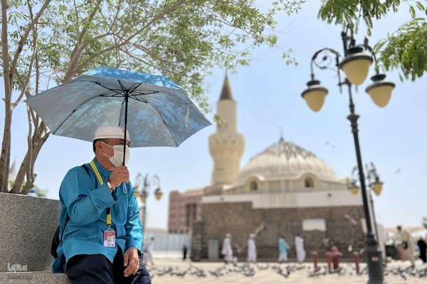 زیارت دوره زائران در مدینه منوره