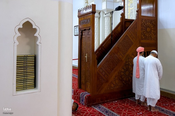 زیارت دوره زائران در مدینه منوره