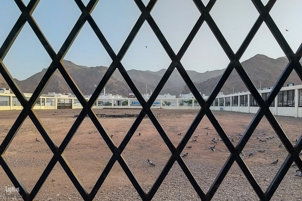 زیارت دوره زائران در مدینه منوره