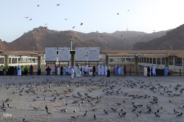 زیارت دوره زائران در مدینه منوره