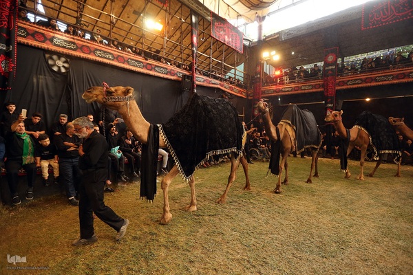 حرکت نمادین کاروان اسرای کربلا در خوانسار