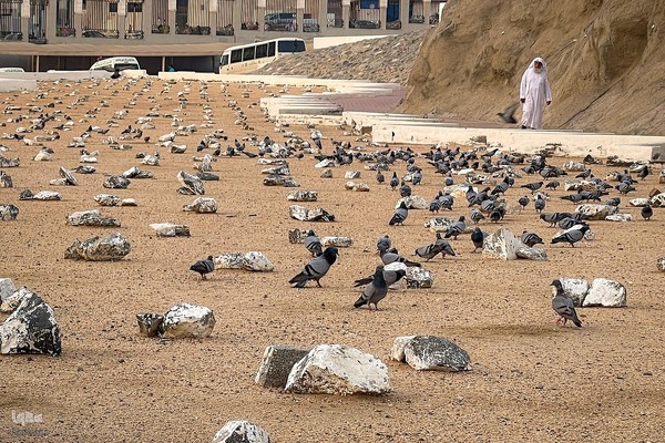 حال و هوای قبرستان ابوطالب،در روز شهادت حضرت زهرا سلام الله علیها