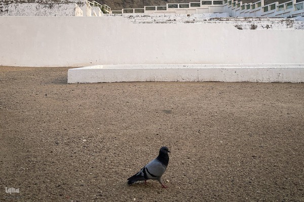 حال و هوای قبرستان ابوطالب،در روز شهادت حضرت زهرا سلام الله علیها