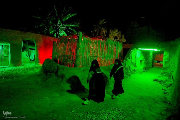 بیستمین سال یادمان یاس کبود در دیار فاطمیون