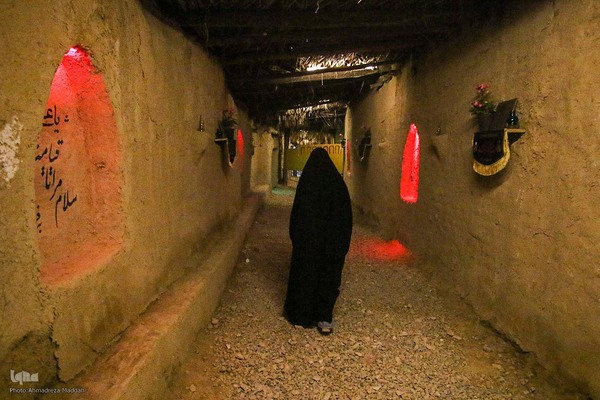 بیستمین سال یادمان یاس کبود در دیار فاطمیون