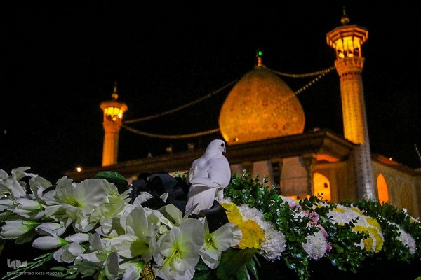 تشیع نمادین حضرت زهرا (س) در شاهچراغ(ع)