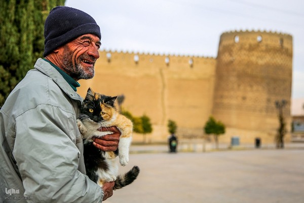 روز شیراز‎