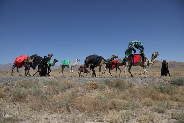 گام های عاشقانه زائران پیاده امام رضا(ع)