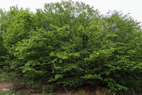 بهشت زیبای آذربایجان