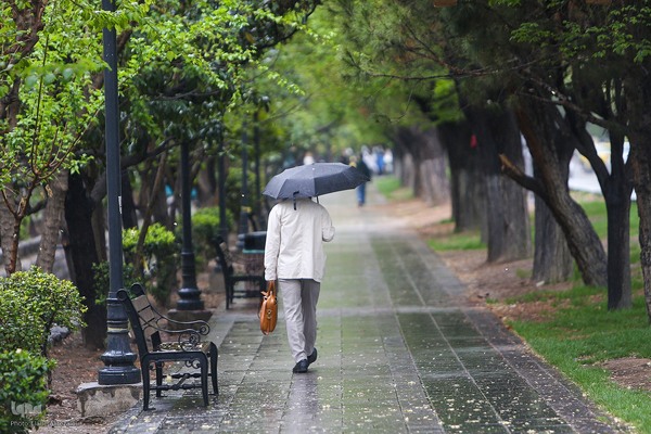 ترنم باران بهاری بر چهره شهر