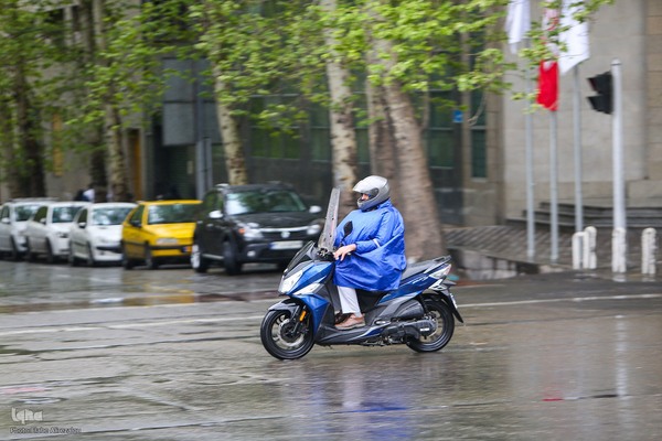 ترنم باران بهاری بر چهره شهر