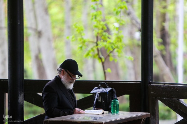 ترنم باران بهاری بر چهره شهر