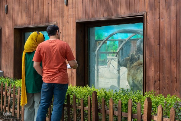 یازدهمین جشنواره لاله‌های کرج‎