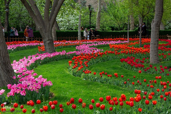 یازدهمین جشنواره لاله‌های کرج‎