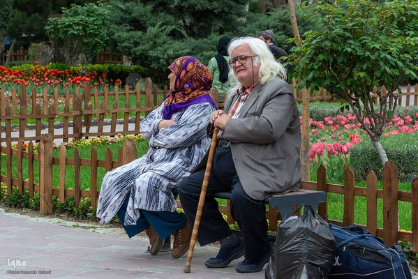 یازدهمین جشنواره لاله‌های کرج‎