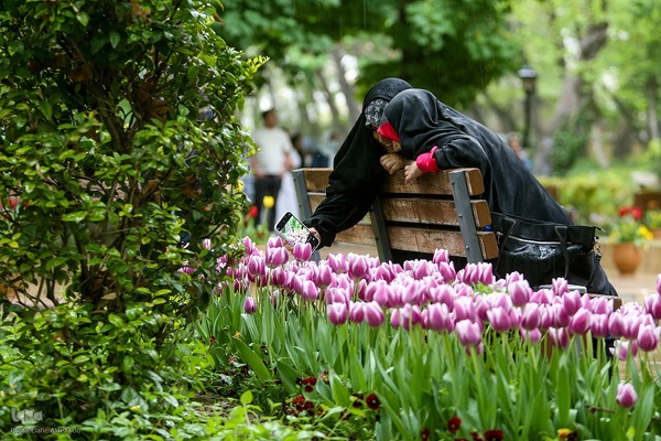 رقص لاله‌ها در باران
