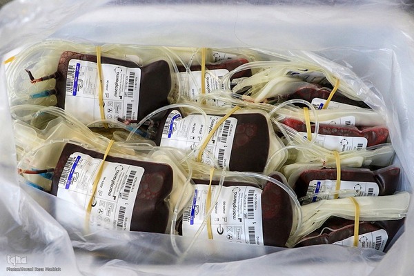 اهدا خون برای حادثه دیدگان بندر عباس