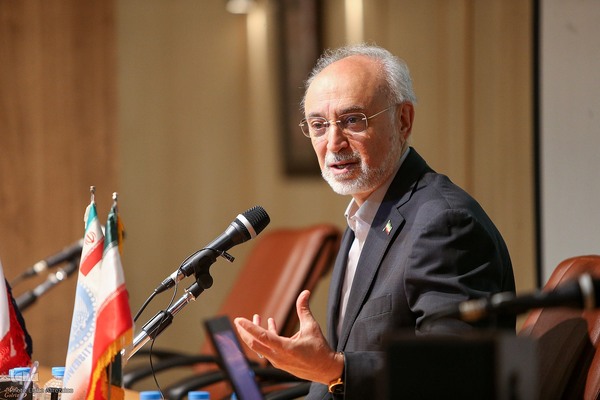 علی اکبر صالحی در نشست علمی «دیپلماسی مقاومت»