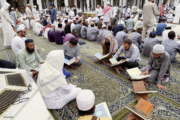 حال‌وهوای مسجد النبی (ص) در ایام حج 1404
