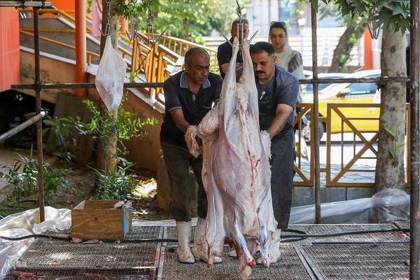 عید قربان، عید همدلی؛ ذبح بهداشتی قربانی در شیرخوارگاه آمنه برای نیازمندان