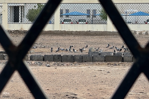 منطقه شهدای احد در مدینه منوره