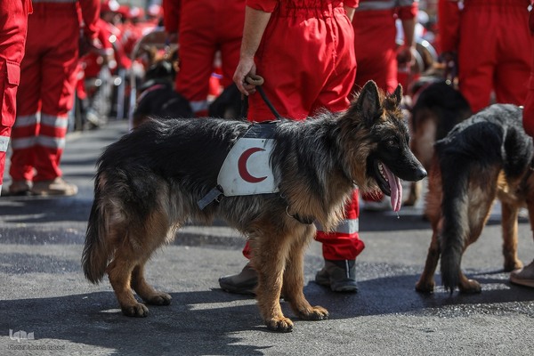 رزمایش اربعین حسینی هلال احمر