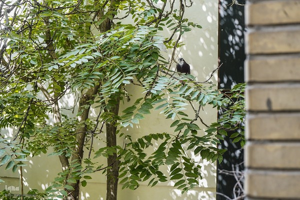 
دمی با جانِ جوانِ بخارا
