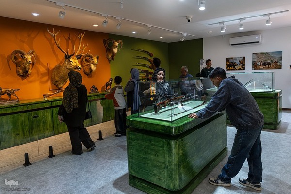 پردیس موزه ایی رامسر