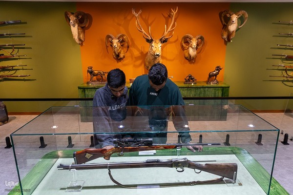 پردیس موزه ایی رامسر