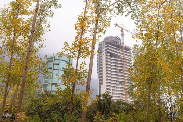 طبیعت پائیزی جنگل دالخانی و نمک آبرود مازندران