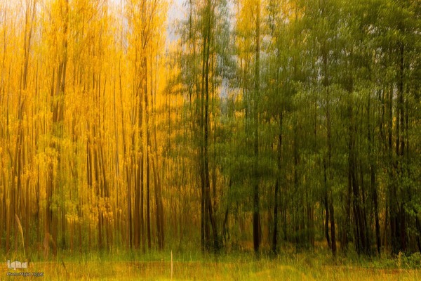 طبیعت پائیزی جنگل دالخانی و نمک آبرود مازندران